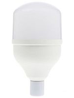 Лампа светодиодная Эра LED smd POWER E27 220В 30Вт 2400Лм 6500К 100х166мм картинка 